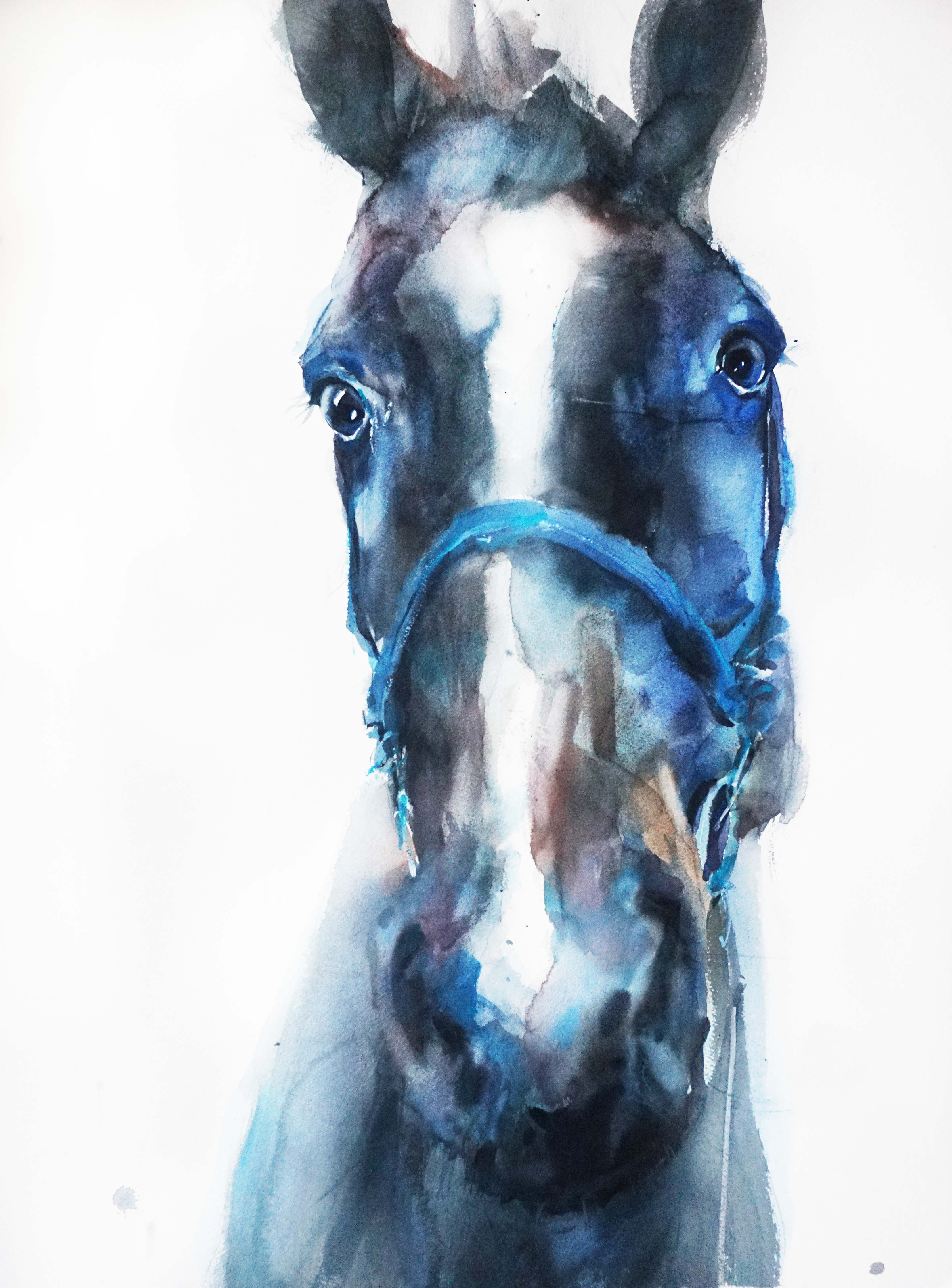 Синяя лошадь - 1, Ольга Пешкова, Купить картину Акварель