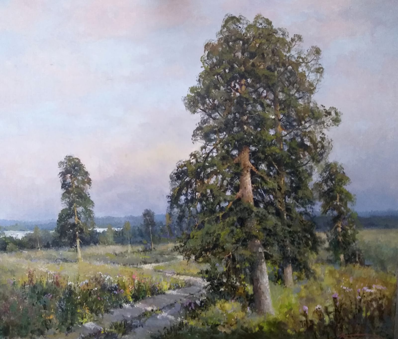 Старая сосна - 1, Александр Кремер, Купить картину Масло