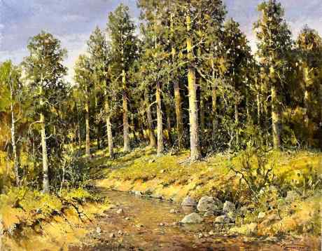 Лесной ручей. Сосны