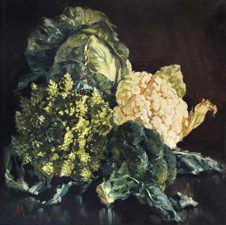 Многообразие