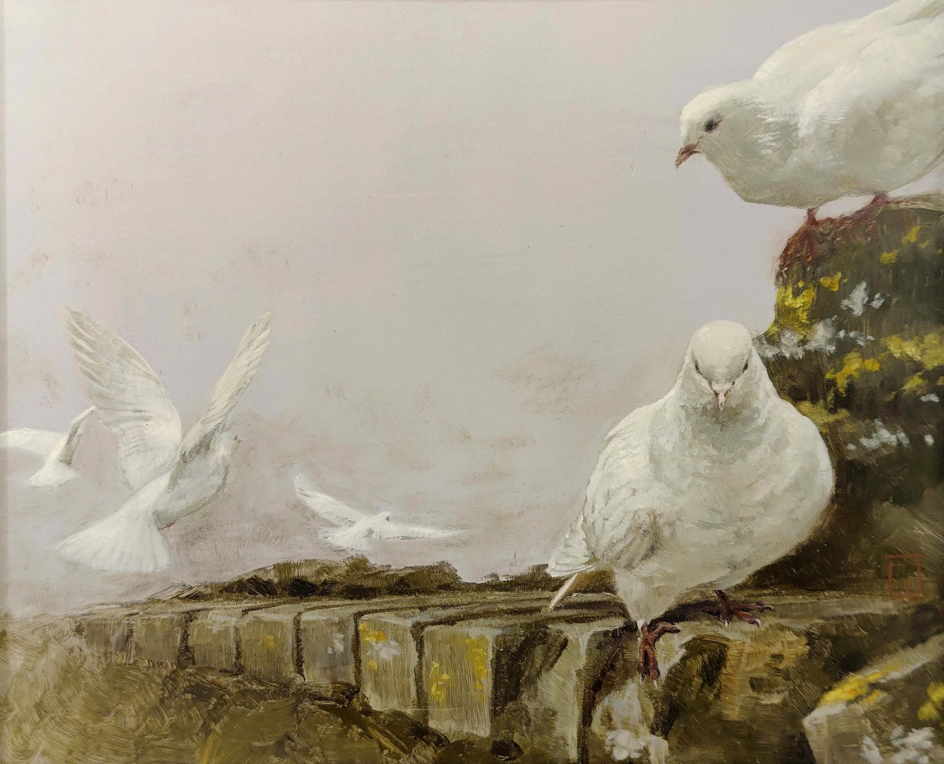 Испанские голубки - 1, Анастасия С. Тессина, Купить картину Масло