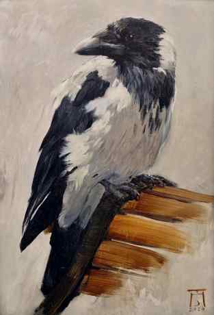 Любопытство