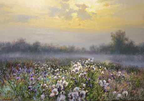 Полевые цветы