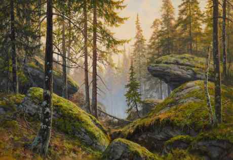 Туман в тайге