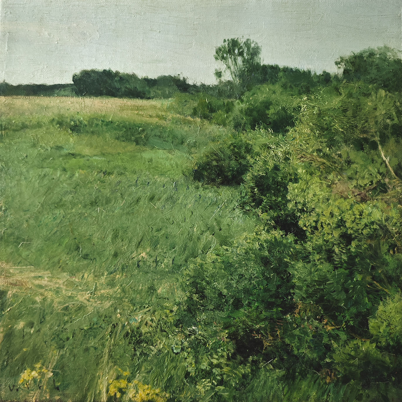 Край луга - 1, Владимир Кириллов , Купить картину Масло